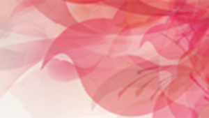 Novaestetyc a BEAUTYWORLD DUBAI 2015, 26-28 Maggio 2015