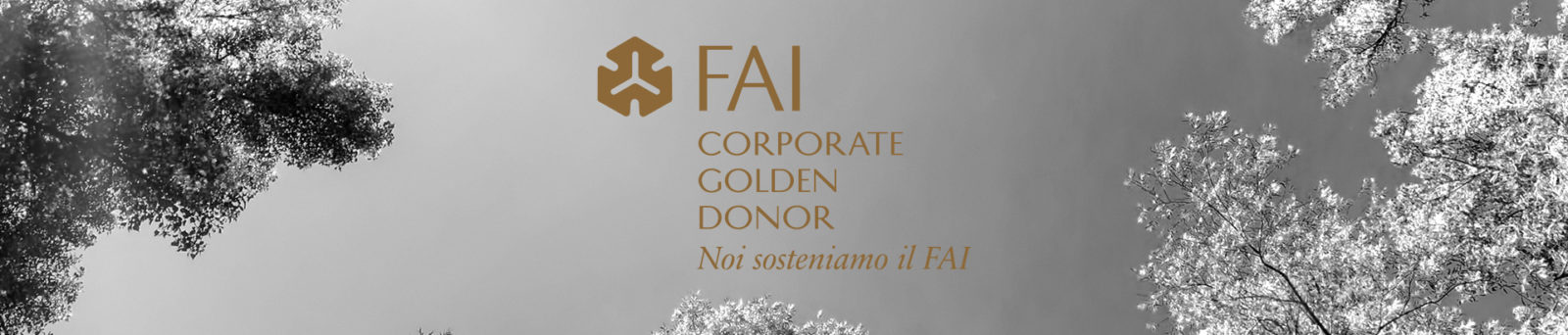 fai corporate golden donor